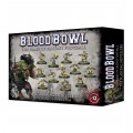 Blood Bowl : Team - The Scarcrag Snivellers 0