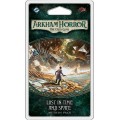 Arkham Horror : The Card Game - Lost in Time and Space 0