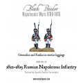 Napoleonic Wars: Russian Line Infantry (1812-1815) plastic boxed set 2