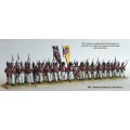 Napoleonic British Line Infantry 1
