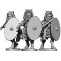 Early Imperial Roman Auxiliaries 6