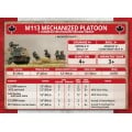 Team Yankee - Mechanised Platoon 10