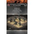 Assault Pioneer Platoon 0