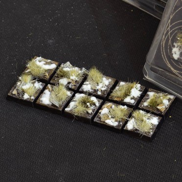 Winter Bases, Square 20mm (x10)