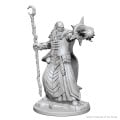 Dungeons & Dragons Nolzur’s Marvelous Miniatures - Human Male Wizard 2