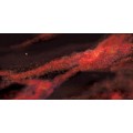 Terrain Mat Mousepad - Two Sided - Crimson Gas Giant / Frozen Star System - 90x180 1