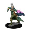 Pathfinder Battles - Elf Female Sorcerer 1
