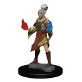 Pathfinder Battles - Elf Female Sorcerer 3