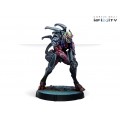 Infinity - Combined Army - Shasvastii Action Pack 10