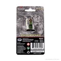 D&D Icons of the Realms Premium Figures - Human Female Druid 1