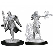 D&D Nolzur's Marvelous Unpainted Miniatures: Warlock & Sorcerer Female