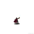 D&D Icons of the Realms Premium Figures - Dwarf Paladin Female 3