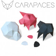 Carapaces By Doug : Anthracite