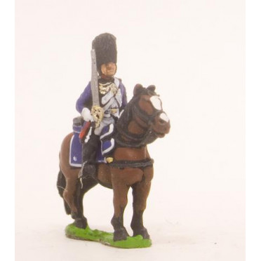 French: Mounted Grenadiers
