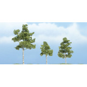 Woodland Scenics - Paper Birch