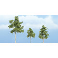 Woodland Scenics - 3x Paper Birch 0