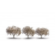 Woodland Scenics - 3x Cherry Blossom Trees