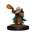D&D Icons Gnome Wizard Male 0