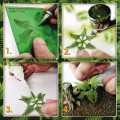 Paper Plants - Cannabis 2