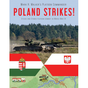 Platoon Commander Poland Strikes