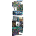 Agemonia - Core box + miniatures Kickstarter 3