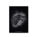 100 Dragon Shield Standard Size : Game of Thrones 2