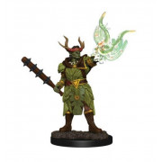 Pathfinder Battles Premium Painted Figure - Half-Orc Druid Male
