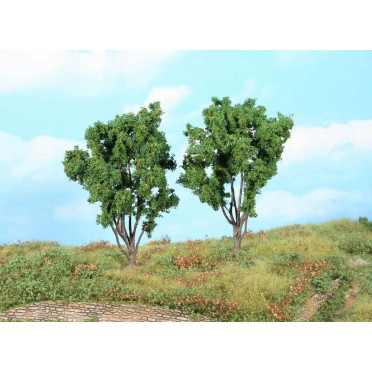 Heki - 2 Mimosa Tree