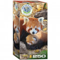 Puzzle - Pandas Rouges - 250 Pièces 0