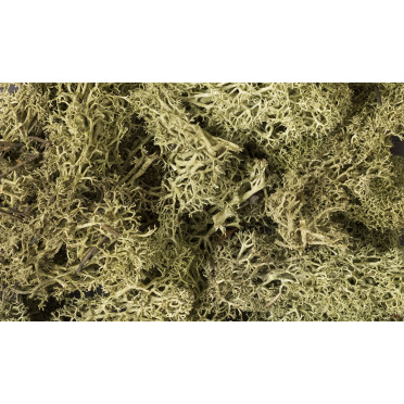 Woodland Scenics - Lichen