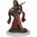 Pathfinder Battles Premium Painted Figure - Female Human Bard 0