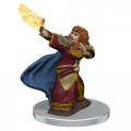 D&D Icons of the Realms Premium Figures - Female Dwarf Wizard 0