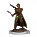 D&D Icons of the Realms Premium Figures - Female Shifter Roguer 0