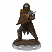 D&D Icons of the Realms Premium Figures - Male Human Fighter