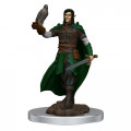 D&D Icons of the Realms Premium Figures - Male Elf Ranger 0
