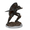 D&D Icons of the Realms Premium Figures - Male Warforged Fighter 0