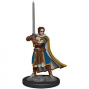 D&D Icons of the Realms Premium Figures - Human Cleric Male