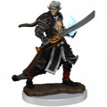 Pathfinder Battles Premium Painted Figure - Male Elf Magus 0