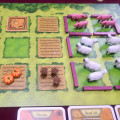Deluxe Resource Tokens compatible with Agricola 10