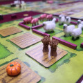 Deluxe Resource Tokens compatible with Agricola 11