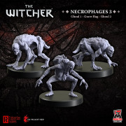 The Witcher RPG: Necrophages 3 – Ghouls and Grave Hag