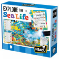 Explore the Sea Life 0
