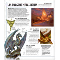 Dungeons & Dragons : La Légende de Drizzt - Le Guide Officiel des Royaumes Oubliés 4