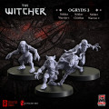 The Witcher RPG: Ogryds 3 - Nekker Warriors 0