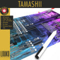 Scenario log upgrade - Tamashii: Chronicle of Ascend 1
