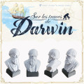 First player token for In the Footsteps of Darwin 0