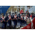 Napoleonic Duchy of Warsaw Infantry Battalion 1807-14 0