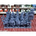 Highlands Miniatures - Sons of Ymir - Dwarf Kingsguard Unit 5