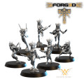 White Angel Miniatures - Elfes Noirs - Furies Elfes Noirs 0
