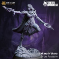 DM Stash - Under Darkness : Vakara [75mm] 0